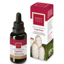 Hiranyagarba Karoti-Take Coprinus 30Ml.