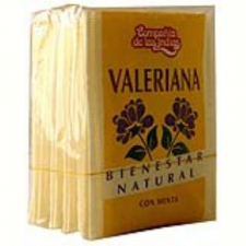 Cia Indias Valeriana Con Menta Infusion 10Bolsitas