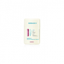 Boreade R Stick Reparador 11 Ml
