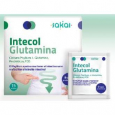 Sakai Intecol Glutamina 15 Sobres