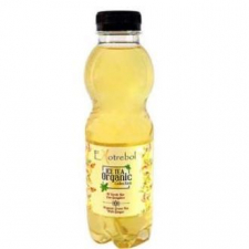 Ekotrebol Te Verde Con Jengibre 500Ml. Bio