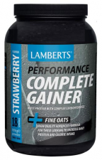 Complete Garnier Sabor Fresa 1,8Kg. - Lamberts