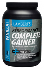 Complete Garnier Sabor Vainilla 1,8Kg. - Lamberts