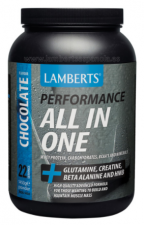 All In One Batido Sabor Chocolate 1450 Gr. - Lamberts