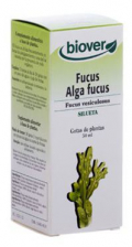 Ext. Fucus Vesiculosus (Fucus) 50 Ml. - Biover