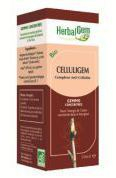 Corazgem 50 Ml. - Herbalgem