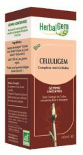 Colestegem 50 Ml. - Herbalgem
