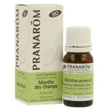 Menta De Campo Aceite Esencial Bio 10Ml.