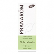 Te Del Labrador Aceite Esencial Bio 5Ml.