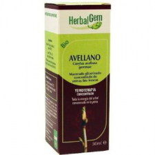 Avellano Macerado Glicerinado 50Ml.