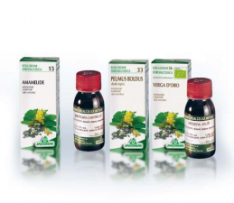 Ext. Angelica Archangelica 55 50 Ml. Agbio - Specchiasol