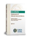 Quinta Esencia Ajedrea (Santoreggia) 10 Ml. - Forza Vitale