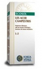 Les Acer Campestris Arce 50 Ml. - Forza Vitale