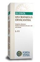 Les Crataegus Oxycanta Espino Albar 50 Ml. - Forza Vitale