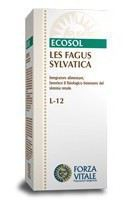 Les Fagus Sylvatica Haya 50 Ml. - Forza Vitale