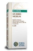 Les Ribes Nigrum Grosellero Negro 50 Ml.