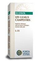 Les Ulmus Campestris Olmo 50 Ml. - Forza Vitale