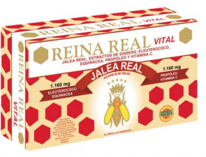 Reina Real Vital 30Amp - Robis