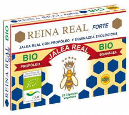 Reina Real Forte 20 Caps. - Robis