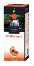 Vitalferment (Papaya Fermentada) 250 Ml. - Novadiet