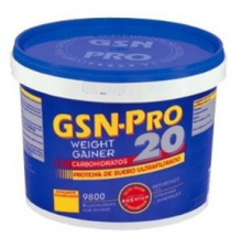 Gsn-Pro 20 Sabor Vainilla 2,5Kg. - Varios