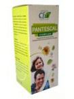 Pantescal Jarabe 250 Ml. - Cfn