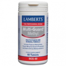 Lamberts Multi Guard Methyl 60 Comp 8435-60