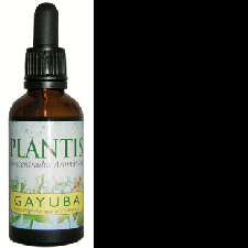 Ext.Gayuba 50Ml Maese Herbario - Varios