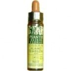 Cerato Plantis Nº 05 10 Ml. - Varios