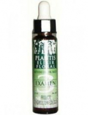 Remedio Plantis Nº 3 Examenes 10 Ml. - Varios