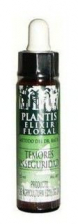 Remedio Plantis Nº 4 Temores-Inseguridades 10 Ml. - Varios