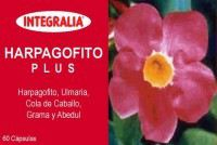 Harpagofito Plus 60 Cap.  - Integralia