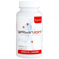 Gelisan Joint 60 Cápsulas Artesania 