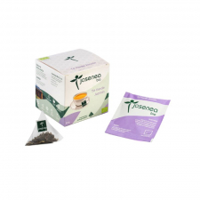 Equisalud Te Verde-Jazmin 10Piramides Ensobradas Bio