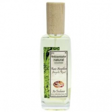 Sys Pack Ambientador Raiz Angelica Pulv. 6X100 Ml