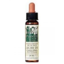 Walnut Plantis Nº 33 10Ml.