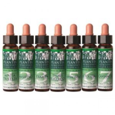 Remedio Plantis Nº 8 Descanso Nocturno 10Ml. Eco