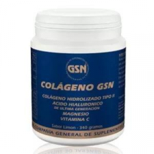 Colageno Gsn Con Acido Hialuronico Limon 340Gr.