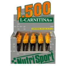 L Carnitina 1500 Fresa 20Amp