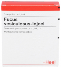 Fucus vesiculosus-Injeel 5 ampollas 1,1 ml