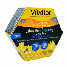 Vitaflor Jalea Real Intelecto