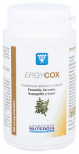 Nutergia Ergycox 90 Comprimidos