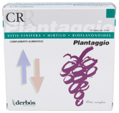 Plantaggio Cr