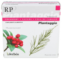 Plantaggio Rp