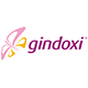 Gindoxi