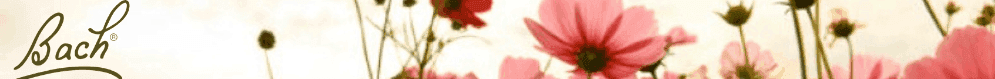 Bach