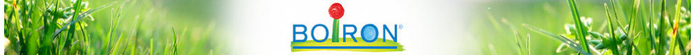 Boiron