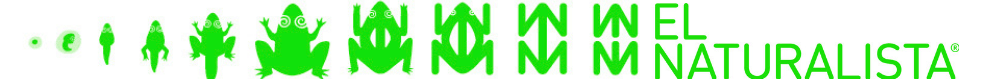El Naturalista